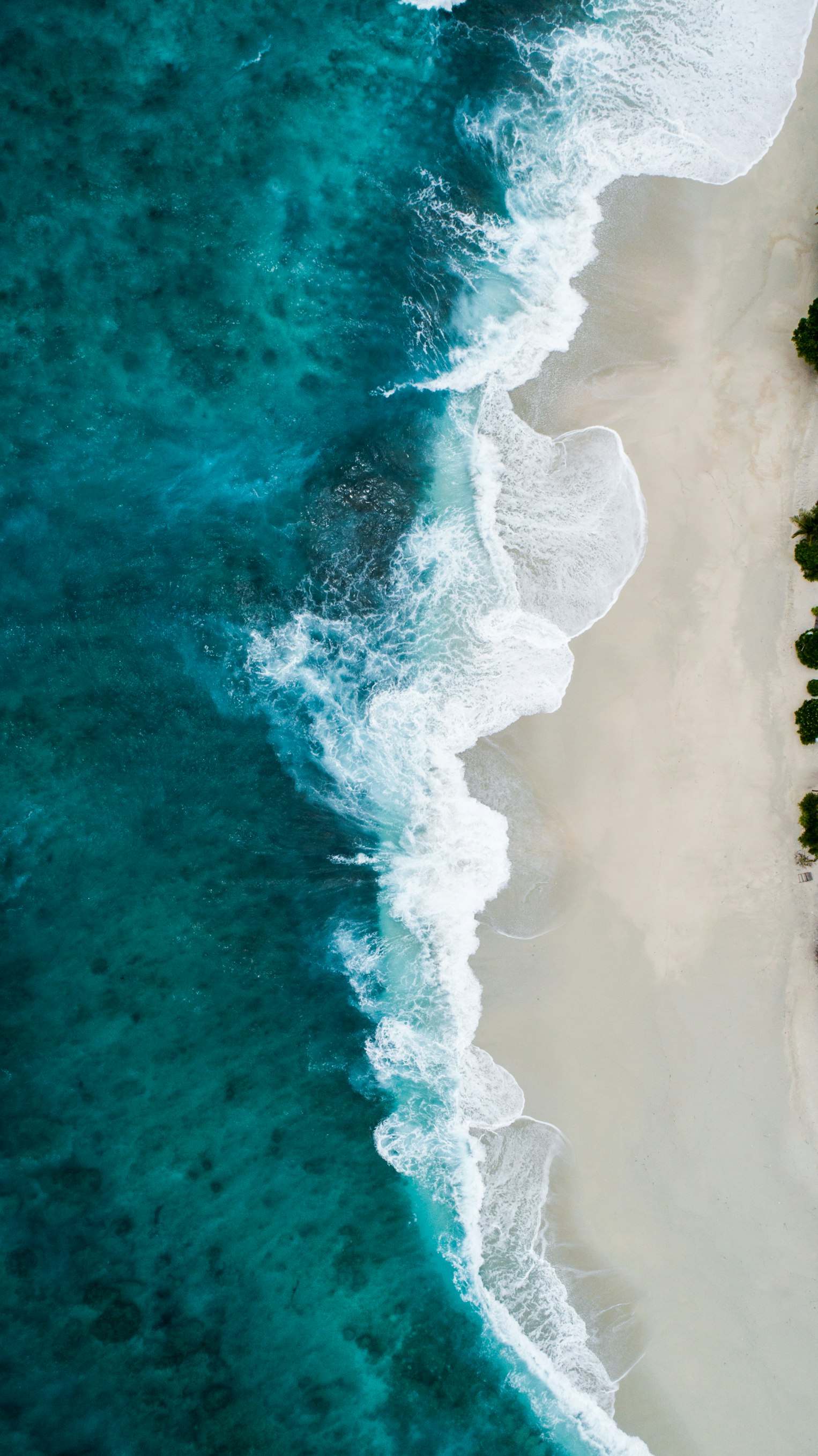 Ocean Views